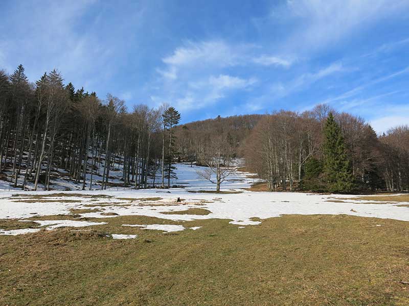 Reisalpe